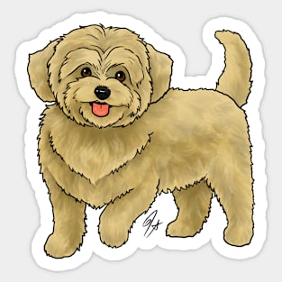 Dog - Maltipoo - Apricot Sticker